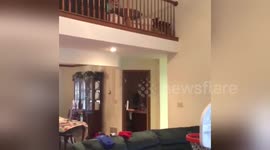 Newsflare Edit - Calvins amazing one handed trick shot from the top