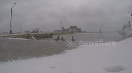 Ducks in snowy conditions