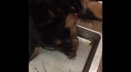 Blowing Bubbles