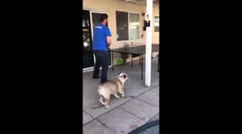Doggie wants to play Too!!