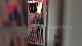 Toddler stuns parents after being caught scaling double stair gate to escape