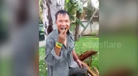 Peckish gardener cut down a tree and feasted on a wriggling LARVAE.