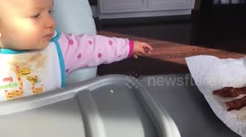 Eight-month-old baby desperate for bacon