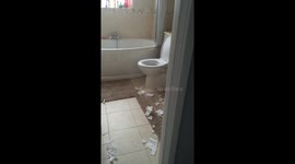 Naughty dog destroys toilet roll