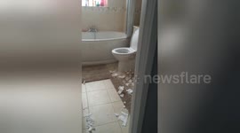 Newsflare Edit - Naughty dog destroys toilet roll