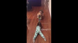 Erin and Harvey - English Bulldog pulls toddler to clean the floor