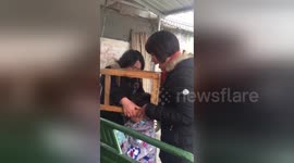 Naughty boy gets head stuck in chair