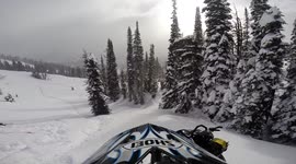 Snowmobilers rescue horse (Tree Amigos)