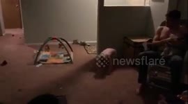 Parkour Toddler