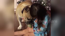 Newsflare Edit - Erin and Harvey -  Erin and Harvey share some Teddie's Peanut Butter
