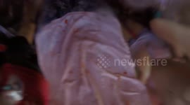 La Tomatina - Clip. 6