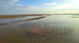 FLYING WITH FLAMINGO part 1!!!!