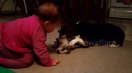 PUPPY PLAYING WITH BABY