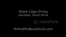 Shark Cage Attack  - Full version