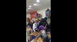 Morris dancers parade through shop in Liverpool