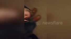 Newsflare Edit - My Daughter farted on me