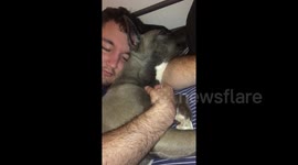 Man cuddles his dog during nap