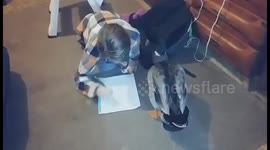 Jonny is trying to do his homework, Nibbles!