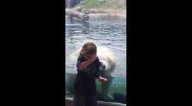 Polar bear charges 5 year old boy at zoo