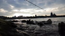 Cologne