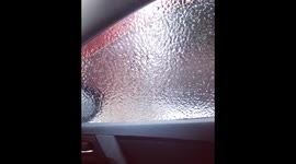 Woman rolls down window after freezing rain storm in Canada and gets a surprise