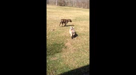 Best of friends!!