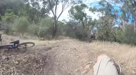 Duck Duck Crash - Cycling Crash