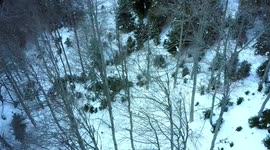 Ice Climbing in Paradise