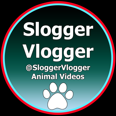 SloggerVlogger