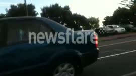 Ports of Auckland strike