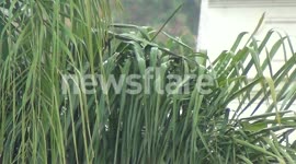 20.4.2012 Melbourne Skyline