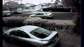 CCTV captured New Zealand earthquake