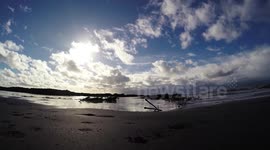 Dog cam on a beach near plymouth devon, plymouths lovly beaches are dog friendly beaches 