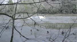 Van in river after collision on Gunnislake bridge