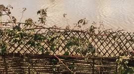 Kayaking in the floods