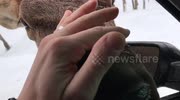 temp