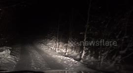 Dashcam footage of Swedish woods at winter time