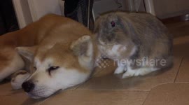 I'll take care of you