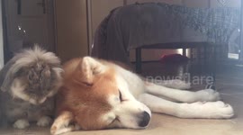 personal hairdresser