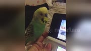 temp
