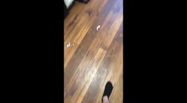 I need to wash the floor!