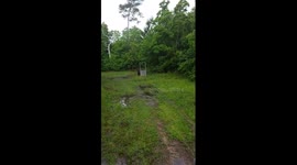 300 pound Wild Hog tries to charge trapper before he shoots it