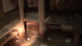 a typical victorian cellar with serious drain problems (UK)