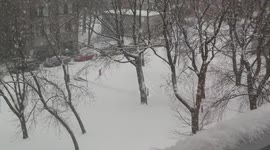 Big Snowflakes in Toronto 