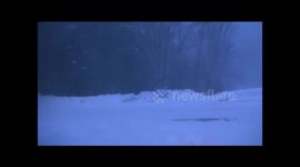 Freezing Rain on Top of Snow