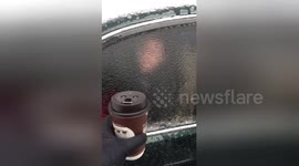 Newsflare Edit - @McDonalds thanks to you we can survive the cold! https://t.co/6Xi5oxwpQP