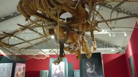 Leonardo da Vinci flying machine