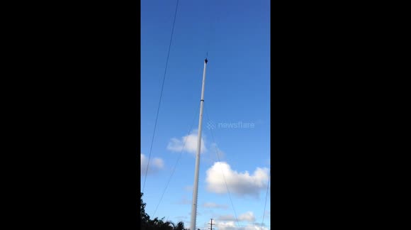 Young Girl Screams For Australia!