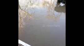 The tank! San jose flood