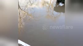 Newsflare Edit - The tank! San jose flood